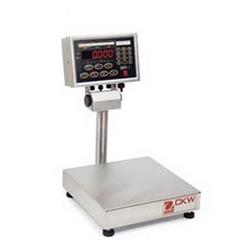 CKW3R55ZH防水检重台秤