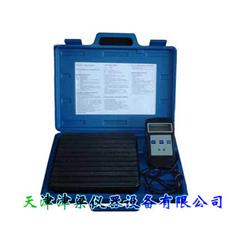 JLC-98便携式手提秤