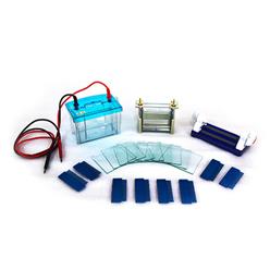 BMCZ-24DH双板垂直电泳仪