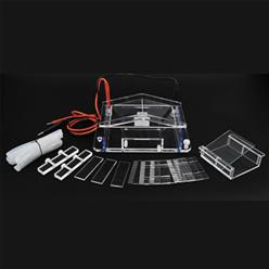 BMCZ-31A琼脂糖水平电泳仪