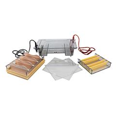 BMCZ-31E琼脂糖水平电泳仪(中号)