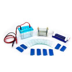 BXCZ-24DH双板垂直电泳仪