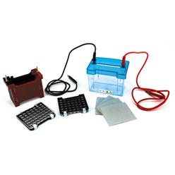 BXCZ-40D转印电泳仪(小号)