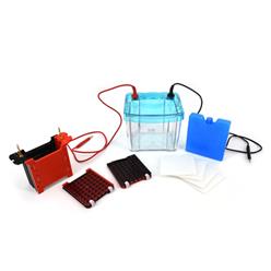 BXCZ-40G转印电泳仪