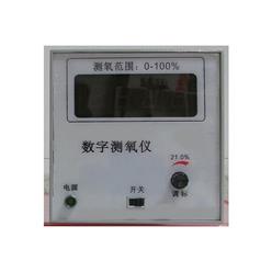 DFHBO-2A数字测氧仪/氧分析仪