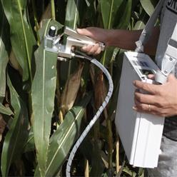 SDC-PCO4O1快速光合测定仪