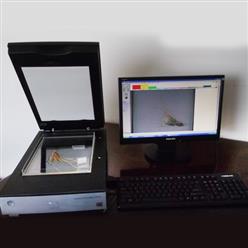 SDC-GX01植物根系分析系统