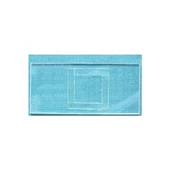 BTHL-JS浮游生物计数框