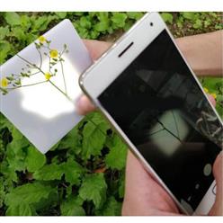 JCK1型原位活体植物分枝角自动测量仪