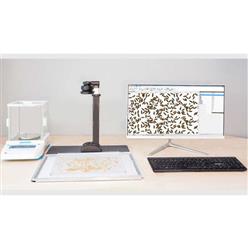 DDCG自动种子考种分析及千粒重仪