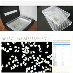 SCE大米外观品质检测仪/稻米品质分析仪米质判定仪