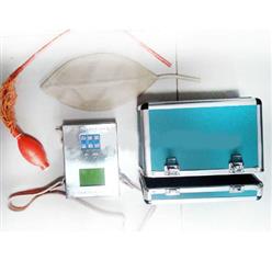 BMK-II便携式煤矿气体可*性测定仪