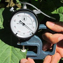 SGL-1植物叶片厚度仪