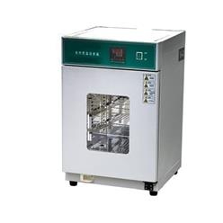360S电热恒温培养箱