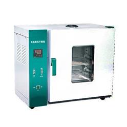 1010ES电热鼓风干燥箱