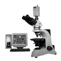 PLYS-141偏光显微镜