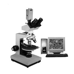 PLYS-142偏光显微镜