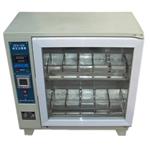 ZFX-10A自控砖瓦泛霜养护箱