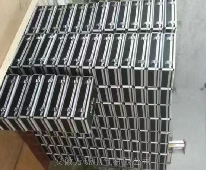 振动变送器BSQ21a-A01B01-C01-D01T