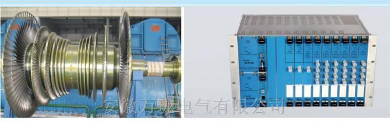 震动测量传感器WLXDG1100C