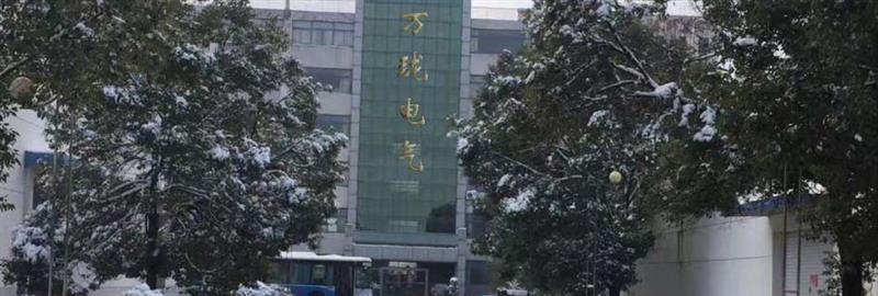 振动传感器WTO150-A07-B04-C18-D10
