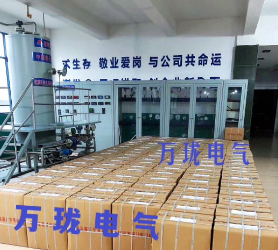 WG-ZYDY-001震动组合探头