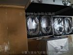 3800XL-A02-X50-L80(φ11mm)前置放大器