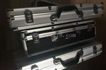 WE9101-A1-B1-C6-D3-ET-F2振动传感器