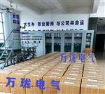 WG-ZYDY-001震动组合探头