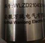 轴震动前置器5-7310-7203-02