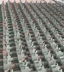 振动传感器SG-2W-A00-B00-C00-K01