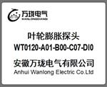 叶轮膨胀探头WT0120-A01-B00-C07-DI0