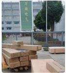 CIJ19200-T-B-01-07-00振动传感器