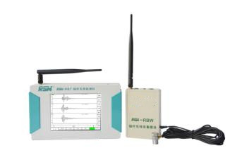 锚杆无损检测仪型号:RSM-RBT  库号：M320325