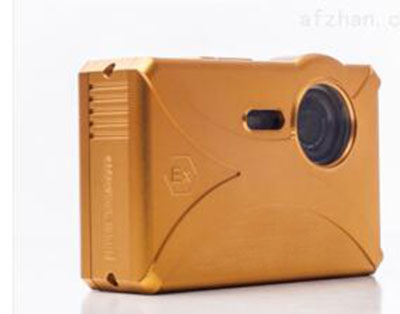 防爆相机 双电 型号:KA04-EX-Cam2100  库号：M392770