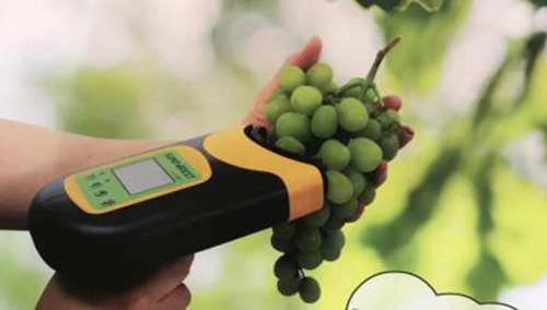 苹果品质检测仪 型号:BD6C-H100F库号：M399056