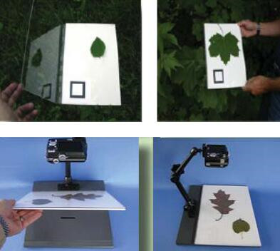 WinFOLIA 多用途叶面积仪 版 型号:UI55-STD4800库号：M12650