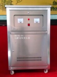 低压电解臭氧发生器 通用型 型号:ZX-TK-DJ-Q04库号：M274324