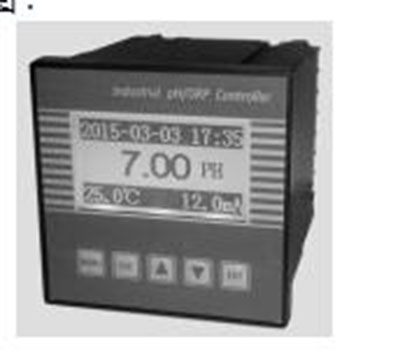 在线PH计 型号:YD-PH2030库号：M392480