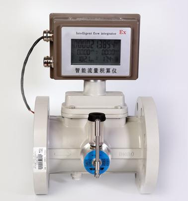 气体涡轮流量计 型号:LR999-DN25库号：M290113