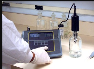 台式溶氧仪 型号:DF36-YSI5100库号：M305513