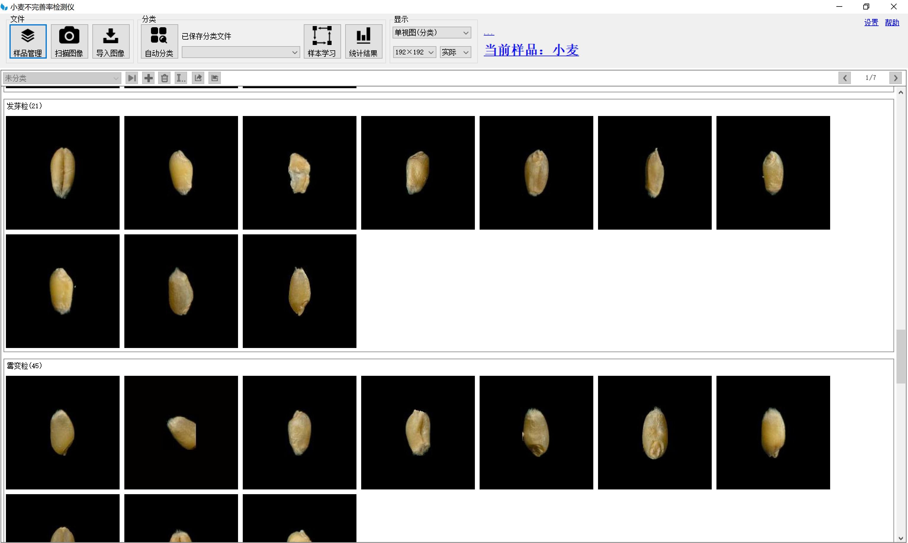 小麦不完善率测定仪 型号:LBMS-II库号：M384085