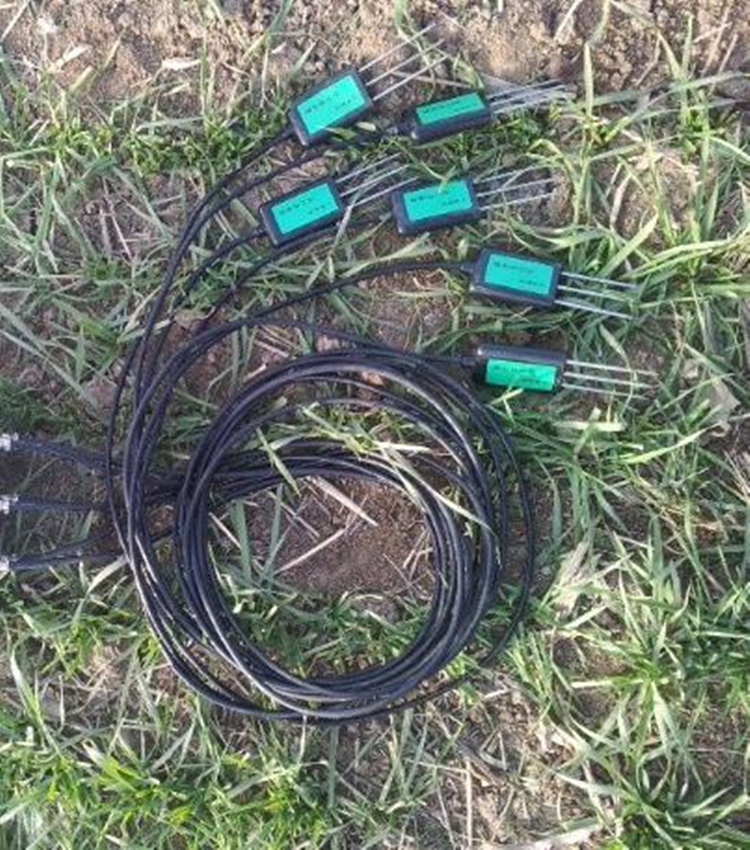 土壤水分传感器 型号:XE48/M31/TM-100库号：M300746