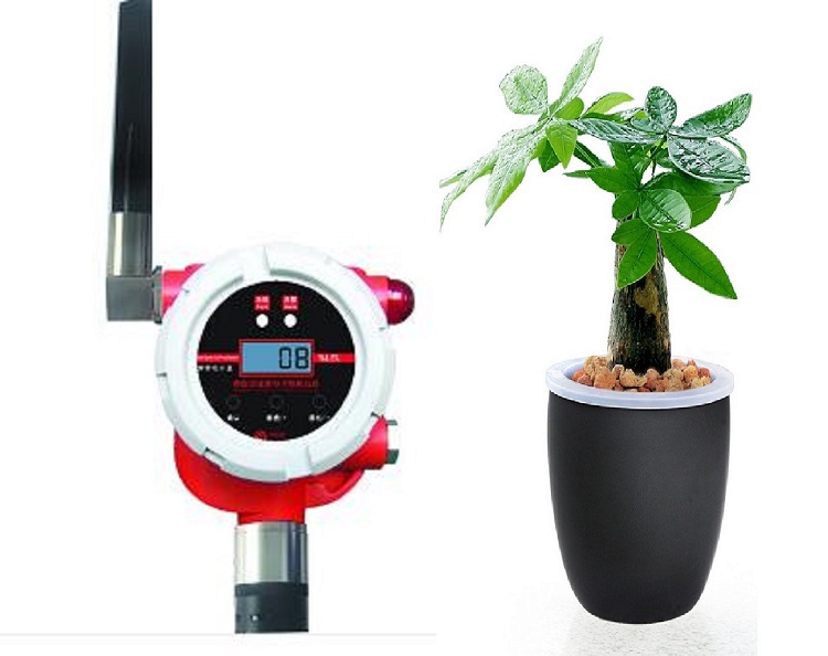 无线型红外可燃气体探测器 型号:AR05-GT-FGA1000W库号：M406748