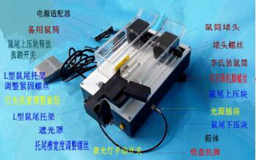 静脉可视大鼠尾注固定器 型号:LM12-YLS-Q10G库号：M396688