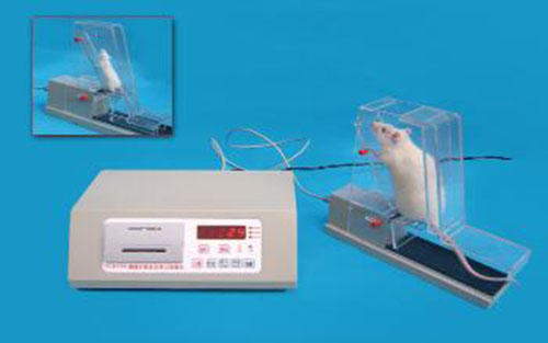 通道式鼠足支撑力测量仪 型号:HDU6-YLS-11A库号：M236149