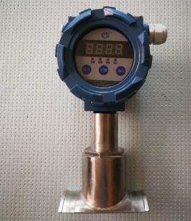 防爆外壳清管指示器 型号:XB299/BXG-02库号：M391743