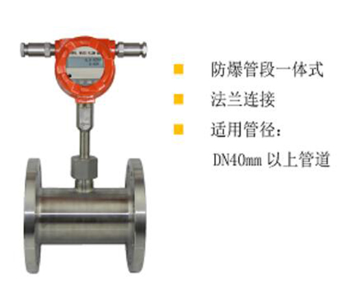 防爆型管段式热式气体质量流量计 型号:CP58-HGF-3001F库号：M385992