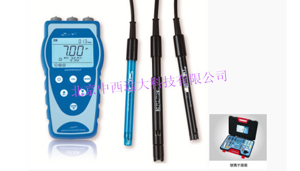 便携式pH电导率溶解氧仪 型号:SA29/SX836库号：M398578