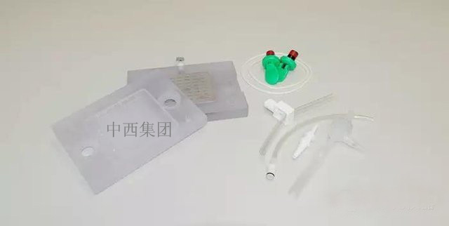 斑点杂交狭缝杂交点样器(进口) 型号:WT32-SB-10库号：M405201